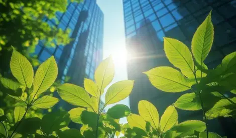 Find out why embracing ESG is good for businesses